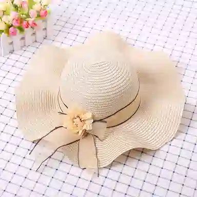 MEETSUNNY