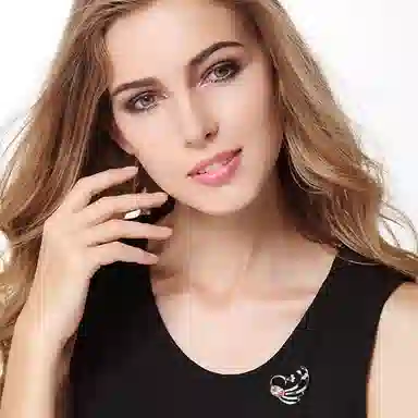 百年传琪 孔雀 高端 别针扣针 胸针 男女同款情侣款