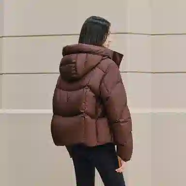 Peacebird Hot Air Balloon 2.0