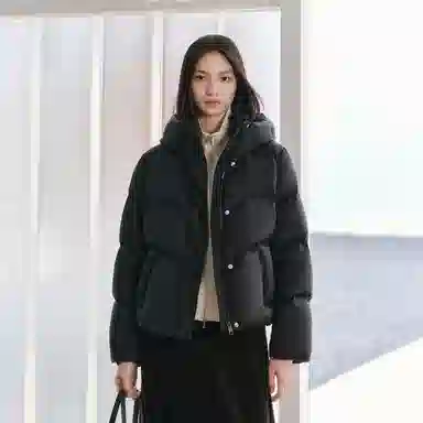 Peacebird Hot Air Balloon 2.0