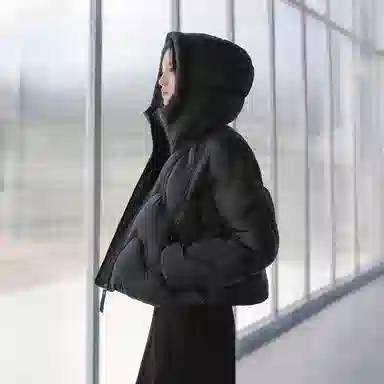 Peacebird Hot Air Balloon 2.0