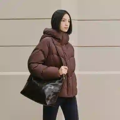 Peacebird Hot Air Balloon 2.0