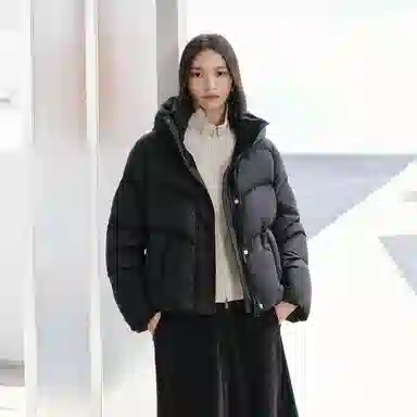 Peacebird Hot Air Balloon 2.0