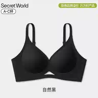 SecretWorld