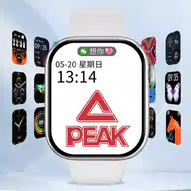 PEAKNFCGT45S9