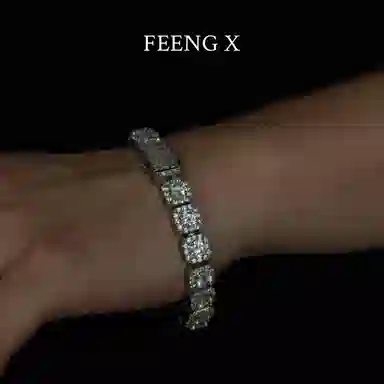 FEENG X