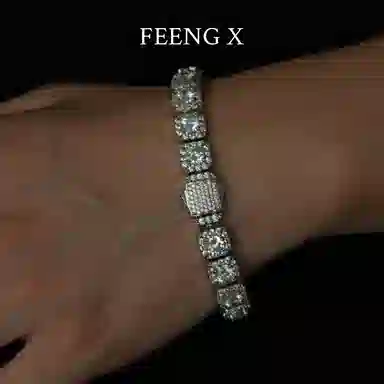 FEENG X
