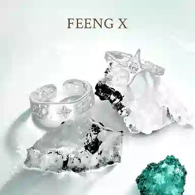 FEENG X ins S925