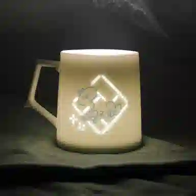 xingyunshi VSINGER IP