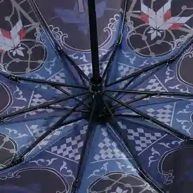 xingyunshi Fate Saber alter