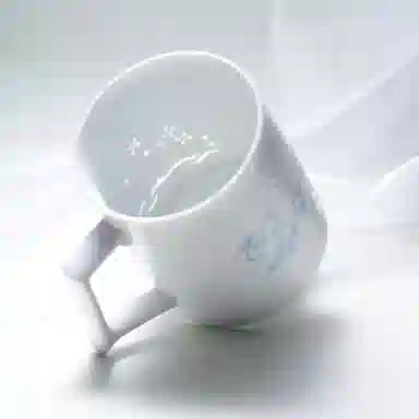 xingyunshi VSINGER IP