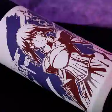 xingyunshi Fate Saber Alter IP