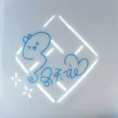 xingyunshi VSINGER IP