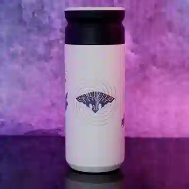 xingyunshi Fate Saber Alter IP