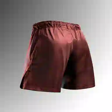 HAYABUSA MMA