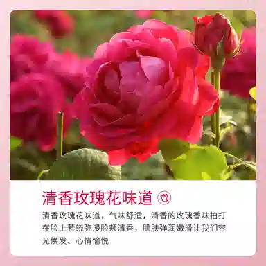 images 400ml