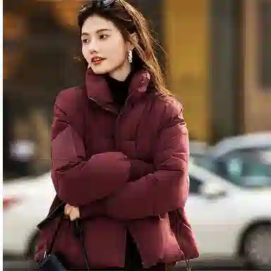 【dme】 基础纯色简约立领显高短款棉服 女款