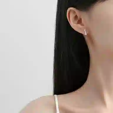 ins s925