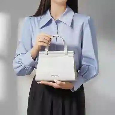 红蜻蜓 时尚蜥蜴纹女士小包包通勤手提包女式斜挎包女包 牛皮