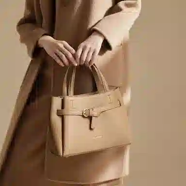 红蜻蜓 高级感小众潮流时尚百搭单肩斜挎包 合成革 手提包 常规 女款 黑色/卡其色