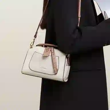 Red Dragonfly Pillow Bag