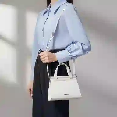 红蜻蜓 时尚蜥蜴纹女士小包包通勤手提包女式斜挎包女包 牛皮