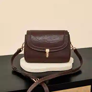 红蜻蜓 高级感经典复古时尚百搭 牛皮 单肩斜挎包 女款 咖啡色/米白色