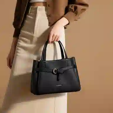 红蜻蜓 高级感小众潮流时尚百搭单肩斜挎包 合成革 手提包 常规 女款 黑色/卡其色