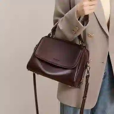 红蜻蜓 复古风简约设计高级感小众设计日常通勤 牛皮 单肩斜挎手提包 常规 女款 咖啡色/米白色