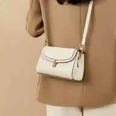 红蜻蜓 高级感经典复古时尚百搭 牛皮 单肩斜挎包 女款 咖啡色/米白色