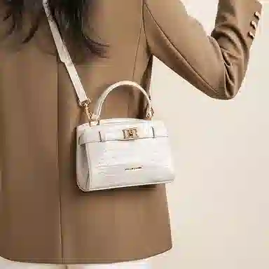 红蜻蜓 简约高级感百搭时尚通勤 牛皮 手提包 女款 多色