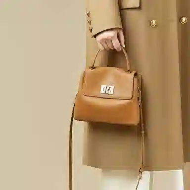 红蜻蜓 经典复古高级感小众设计金扣 牛皮 手提包单肩斜挎包包 常规 女款 浅棕色