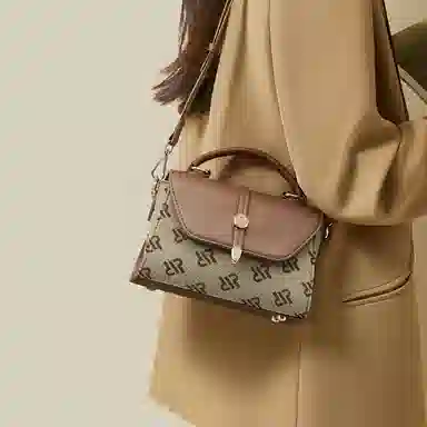 红蜻蜓 经典复古设计妈妈包老花满印时尚百搭包通勤 超细纤维合成革 手提包斜挎包 常规 女款 浅咖啡色