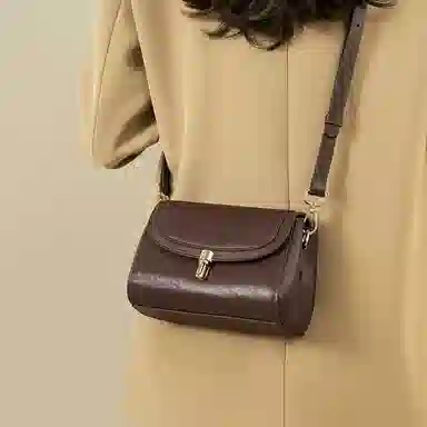 红蜻蜓 高级感经典复古时尚百搭 牛皮 单肩斜挎包 女款 咖啡色/米白色