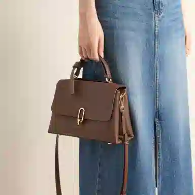 红蜻蜓 高级感小众时尚潮流品牌高颜值 牛皮 单肩斜挎手提包 常规 女款 黑色/咖啡色