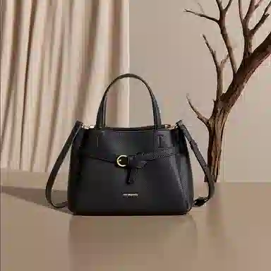 红蜻蜓 高级感小众潮流时尚百搭单肩斜挎包 合成革 手提包 常规 女款 黑色/卡其色