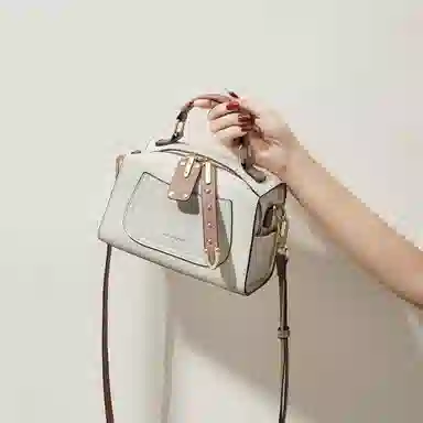 Red Dragonfly Pillow Bag