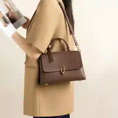 红蜻蜓 高级感小众时尚潮流品牌高颜值 牛皮 单肩斜挎手提包 常规 女款 黑色/咖啡色