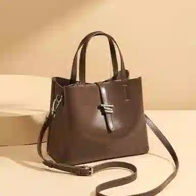 红蜻蜓 大容量休闲上班通勤水桶包  牛皮  手提包斜挎包单肩包 常规 黑色/咖啡色