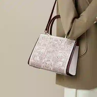 红蜻蜓 百搭国风刺绣质感图案高端时尚 牛皮 单肩手提包 女款 奶茶色