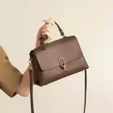 红蜻蜓 高级感小众时尚潮流品牌高颜值 牛皮 单肩斜挎手提包 常规 女款 黑色/咖啡色