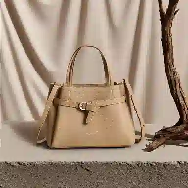 红蜻蜓 高级感小众潮流时尚百搭单肩斜挎包 合成革 手提包 常规 女款 黑色/卡其色