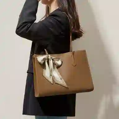 红蜻蜓 托特包腋下真皮大包拉链百搭通勤欧美风手提包纯色 牛皮 单肩包 常规 男女同款情侣款 棕色