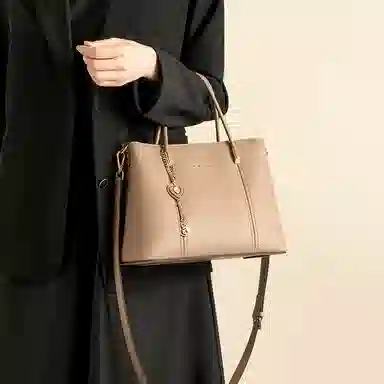 红蜻蜓 高端大气时尚潮流百搭通勤精致优雅结婚包喜庆单肩包 牛皮 斜挎手提包 女款 杏色/红色