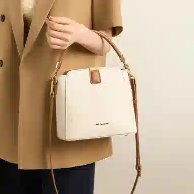 红蜻蜓 经典小香风时尚百搭小众设计气质日常通勤 牛皮 单肩斜挎手提包 常规 女款 棕米白