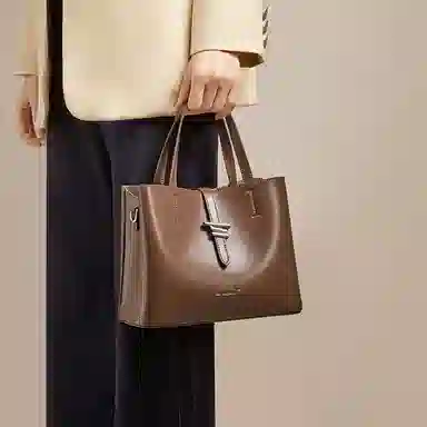 红蜻蜓 大容量休闲上班通勤水桶包  牛皮  手提包斜挎包单肩包 常规 黑色/咖啡色