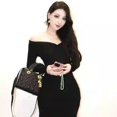 红蜻蜓 时尚百搭戴妃包小众设计爱心气质日常 牛剖层革拼合成革 斜挎包手提包 常规 女款 黑色