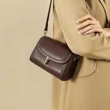 红蜻蜓 高级感经典复古时尚百搭 牛皮 单肩斜挎包 女款 咖啡色/米白色