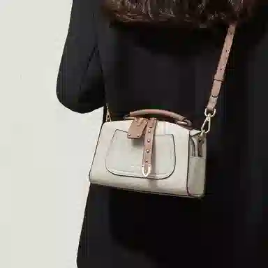 Red Dragonfly Pillow Bag