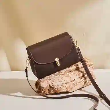 红蜻蜓 高级感气质百搭通勤 牛皮 单肩斜挎包 常规 女款 棕色/咖啡色